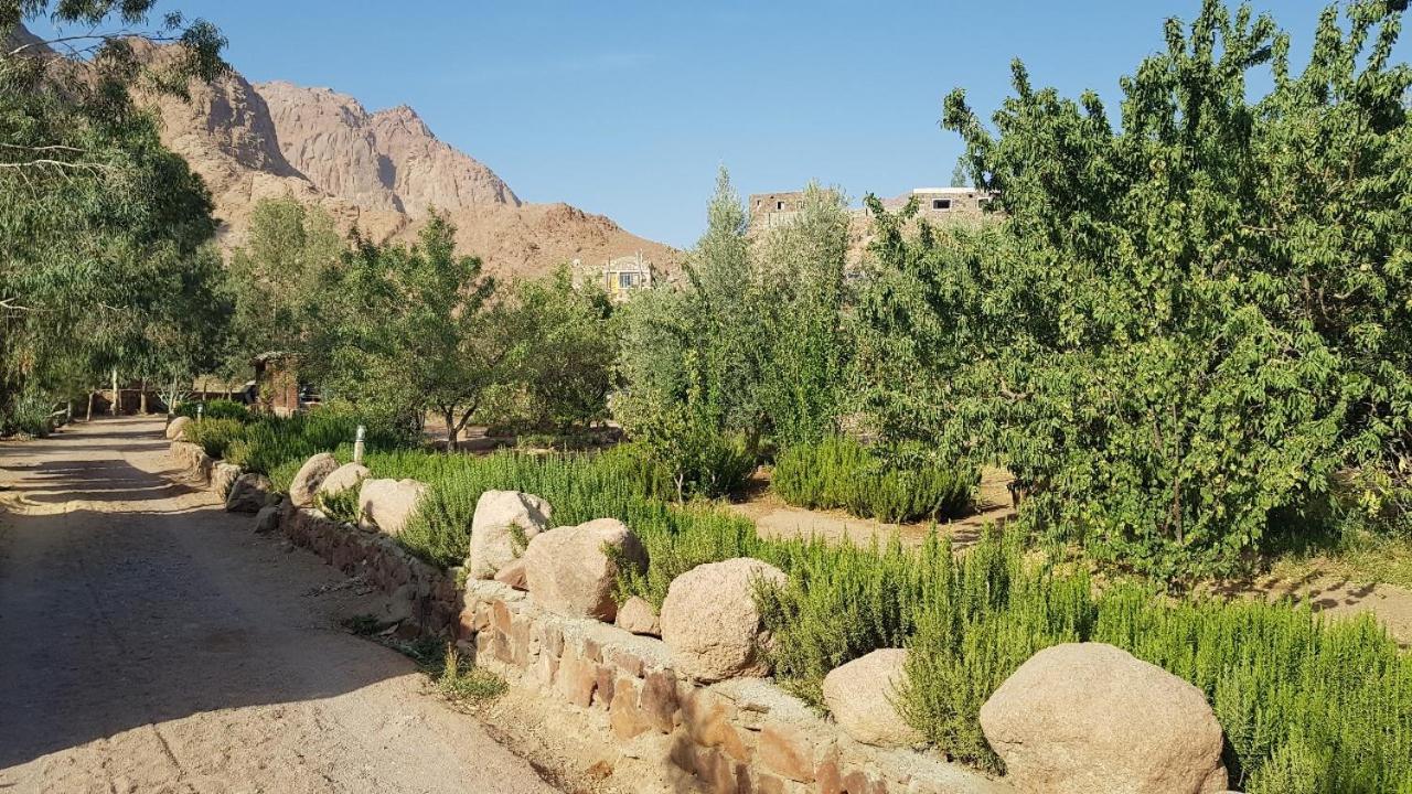 Fox Camp Hotel Saint Catherine Bagian luar foto