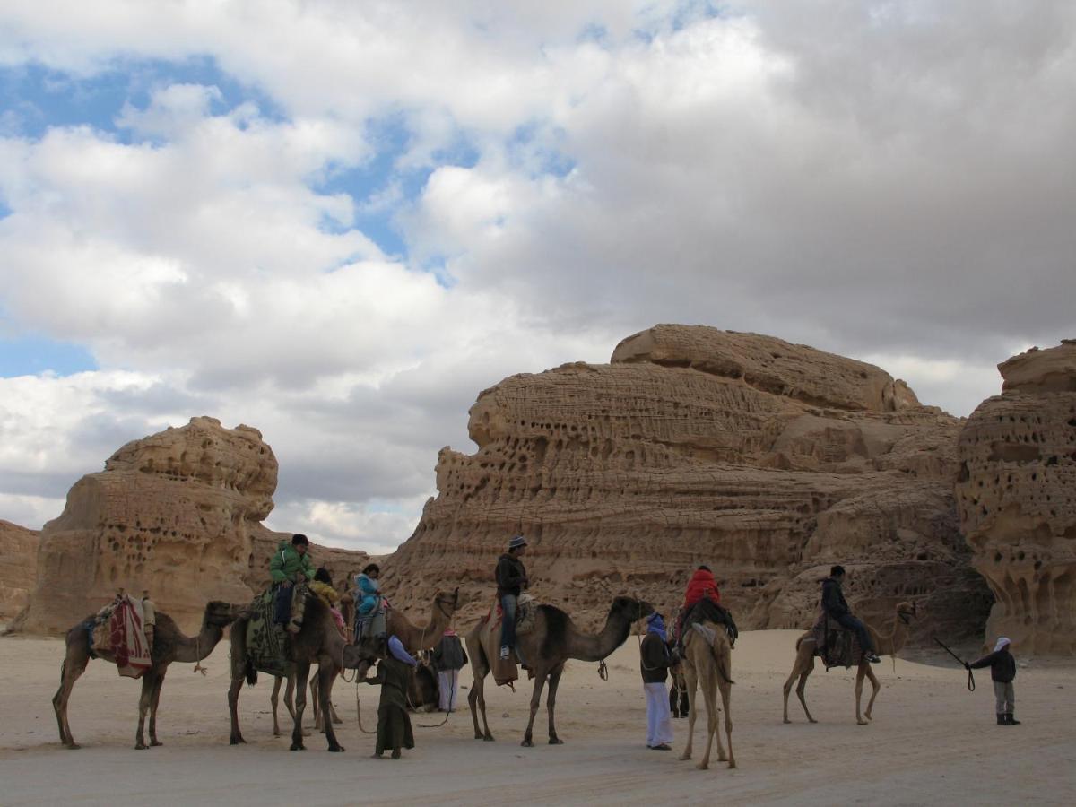 Fox Camp Hotel Saint Catherine Bagian luar foto