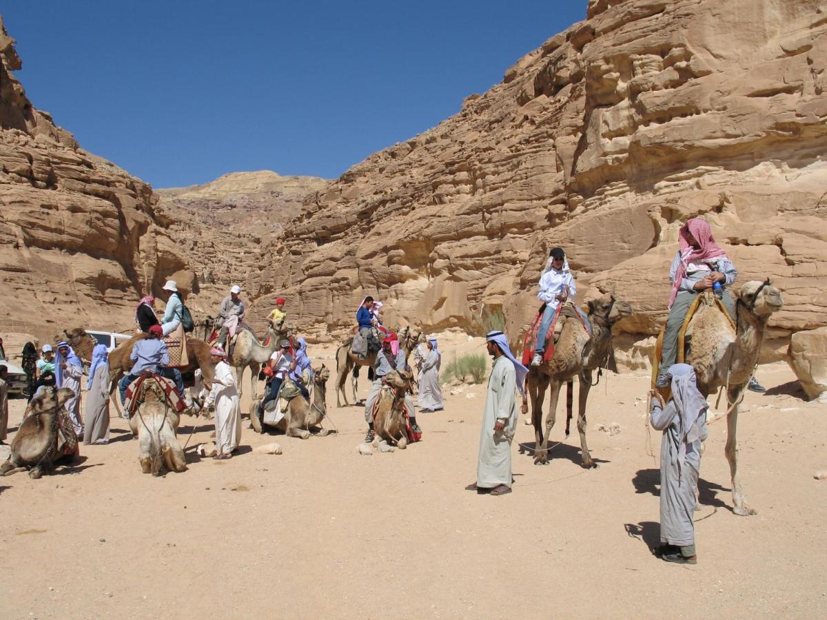 Fox Camp Hotel Saint Catherine Bagian luar foto