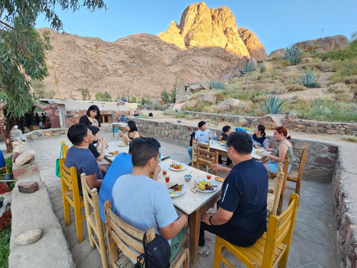 Fox Camp Hotel Saint Catherine Bagian luar foto